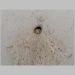 10Boca De Yuma_0261.JPG